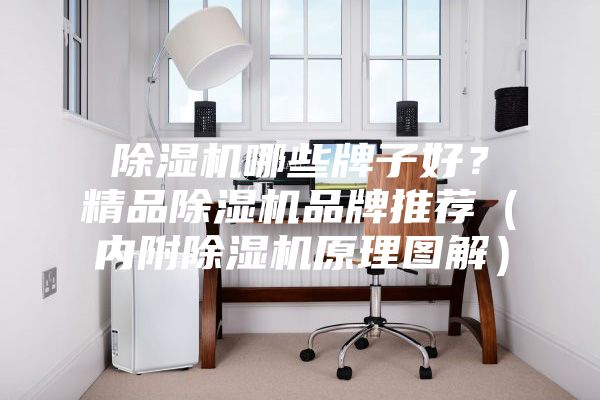 除濕機(jī)哪些牌子好？精品除濕機(jī)品牌推薦（內(nèi)附除濕機(jī)原理圖解）
