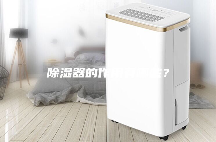 除濕器的作用有哪些？