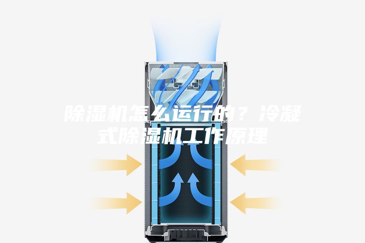除濕機(jī)怎么運(yùn)行的？冷凝式除濕機(jī)工作原理