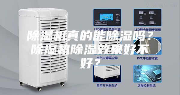 除濕機真的能除濕嗎？除濕機除濕效果好不好？