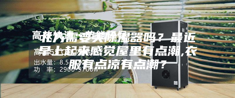 北方需要買除濕器嗎？最近早上起來(lái)感覺(jué)屋里有點(diǎn)潮,衣服有點(diǎn)涼有點(diǎn)潮？