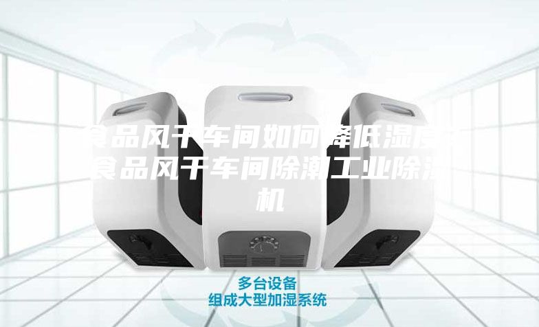 食品風干車間如何降低濕度？食品風干車間除潮工業除濕機