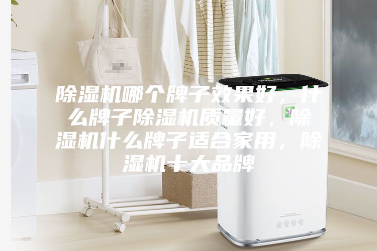 除濕機哪個牌子效果好，什么牌子除濕機質量好，除濕機什么牌子適合家用，除濕機十大品牌
