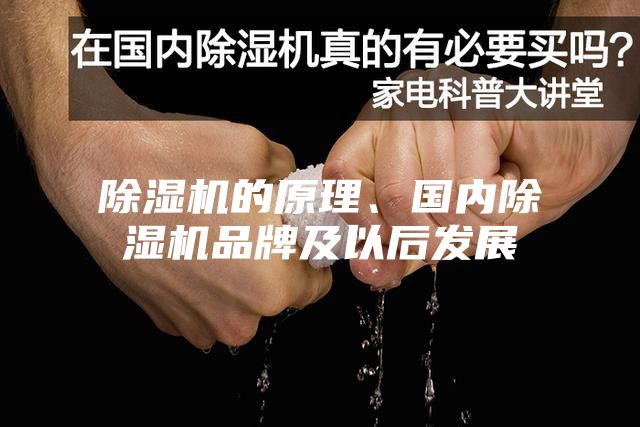 除濕機(jī)的原理、國(guó)內(nèi)除濕機(jī)品牌及以后發(fā)展