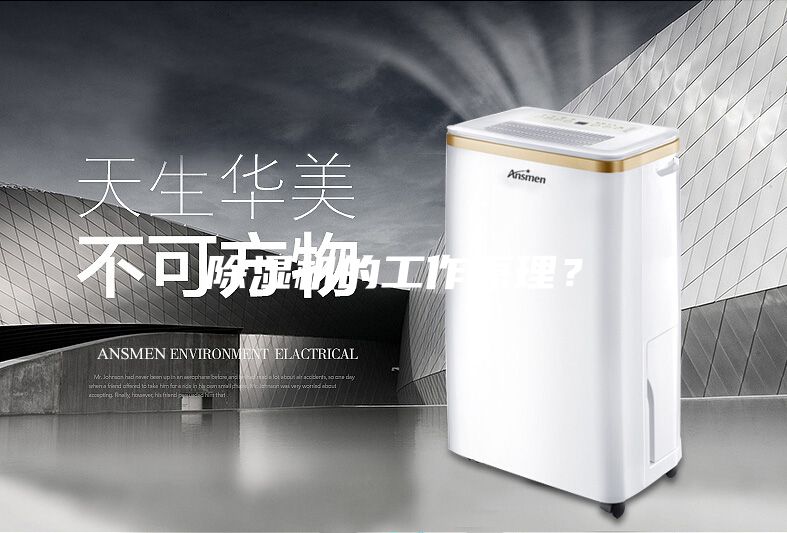 除濕機的工作原理？
