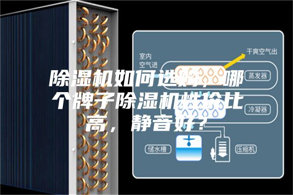 除濕機(jī)如何選購，哪個(gè)牌子除濕機(jī)性價(jià)比高，靜音好？