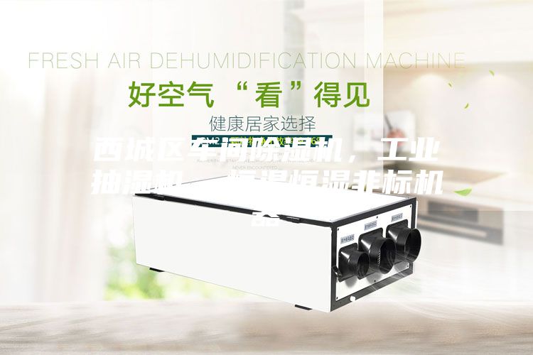 西城區(qū)車間除濕機，工業(yè)抽濕機  恒溫恒濕非標(biāo)機器
