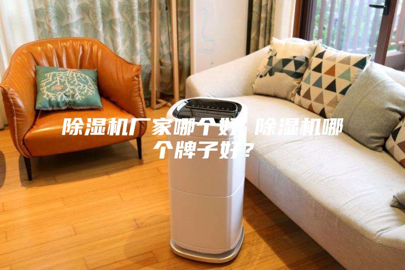除濕機廠家哪個好 除濕機哪個牌子好？