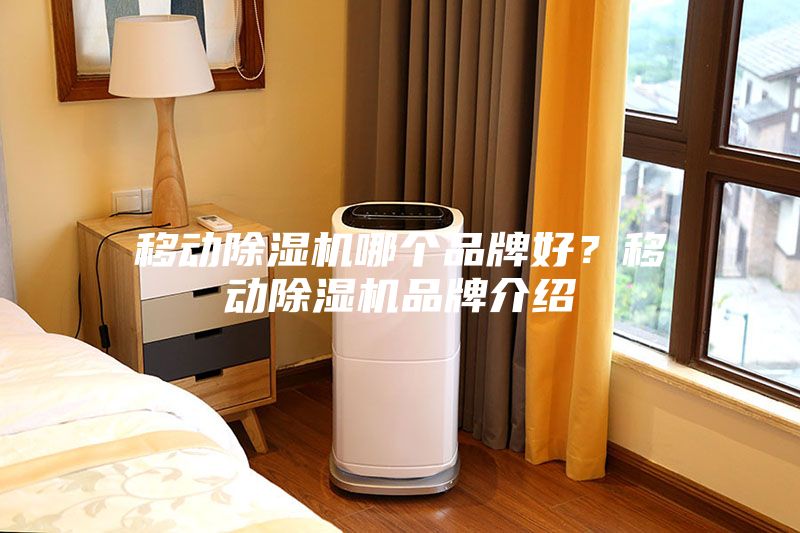 移動除濕機哪個品牌好？移動除濕機品牌介紹