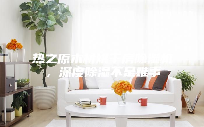 熱之原木材烘干房除濕機，深度除濕不是難事