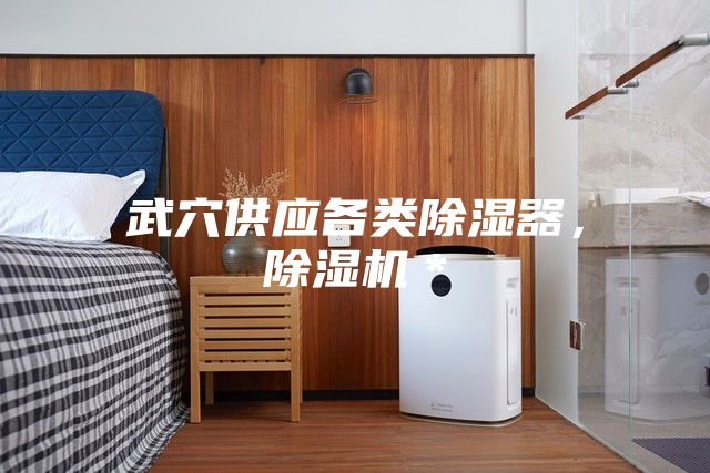 武穴供應各類除濕器，除濕機＊