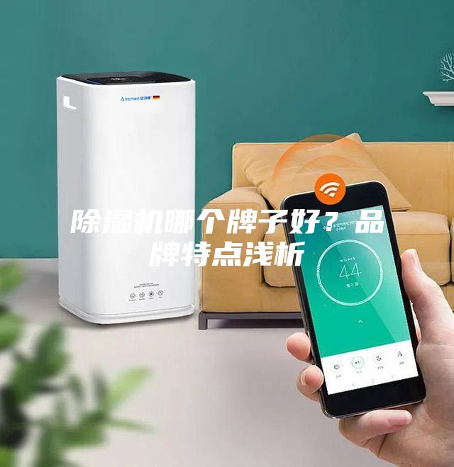 除濕機哪個牌子好？品牌特點淺析