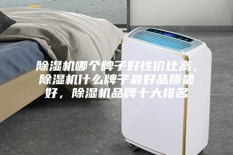 除濕機哪個牌子好性價比高，除濕機什么牌子最好品質最好，除濕機品牌十大排名