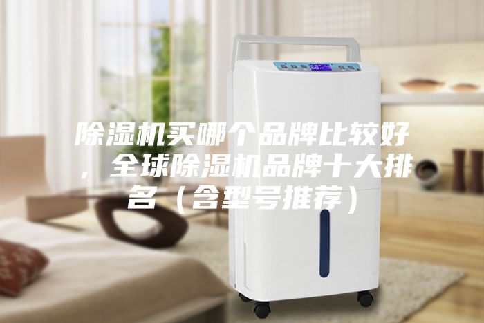 除濕機買哪個品牌比較好，全球除濕機品牌十大排名（含型號推薦）