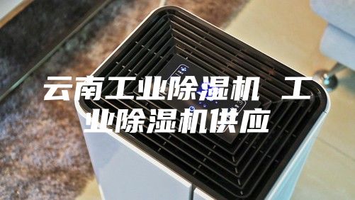云南工業(yè)除濕機 工業(yè)除濕機供應(yīng)