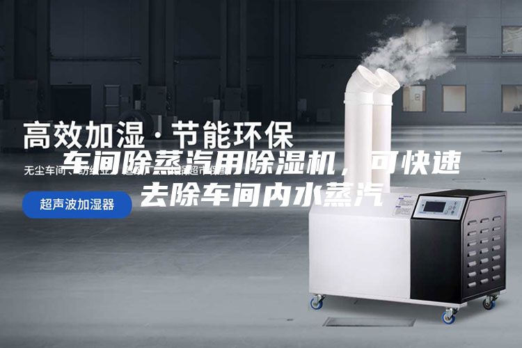 車間除蒸汽用除濕機，可快速去除車間內(nèi)水蒸汽