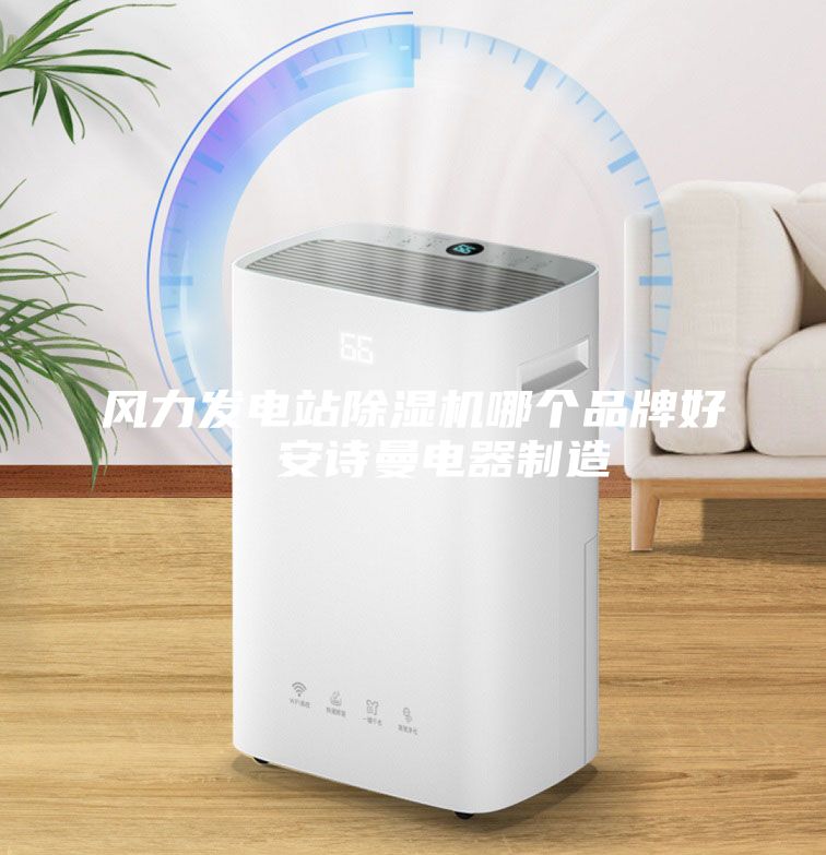 風(fēng)力發(fā)電站除濕機(jī)哪個(gè)品牌好、安詩(shī)曼電器制造