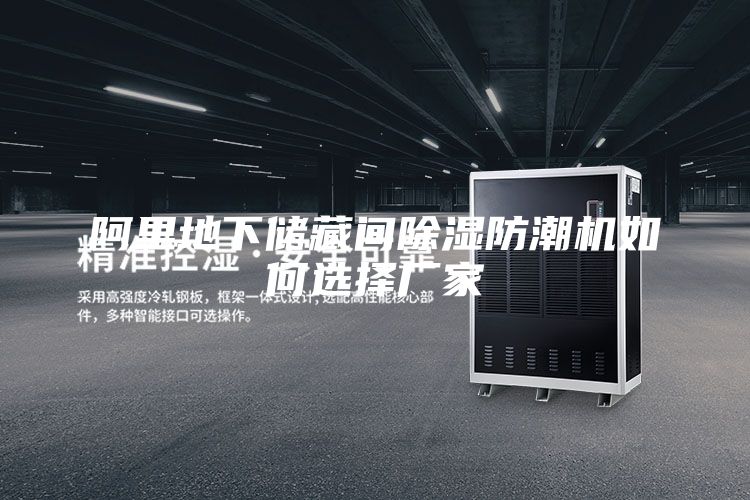 阿里地下儲(chǔ)藏間除濕防潮機(jī)如何選擇廠家