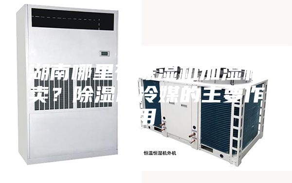 湖南哪里有除濕機加濕機賣？除濕機冷媒的主要作用