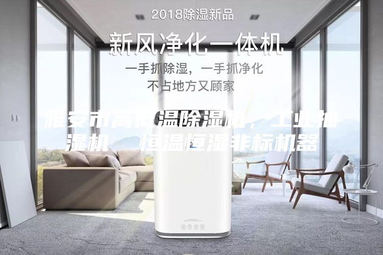 雅安市高低溫除濕機(jī)，工業(yè)抽濕機(jī)  恒溫恒濕非標(biāo)機(jī)器