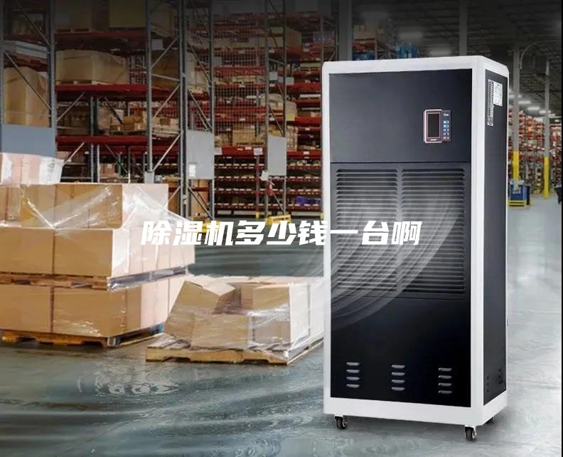 除濕機(jī)多少錢(qián)一臺(tái)啊