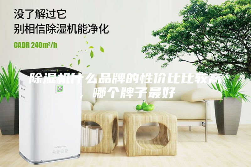 除濕機(jī)什么品牌的性價比比較高，哪個牌子最好