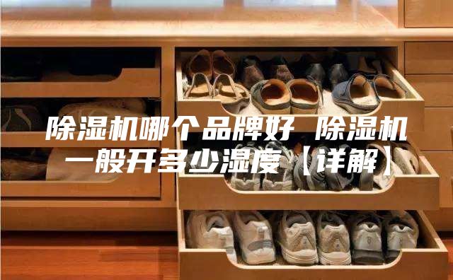 除濕機(jī)哪個(gè)品牌好 除濕機(jī)一般開(kāi)多少濕度【詳解】