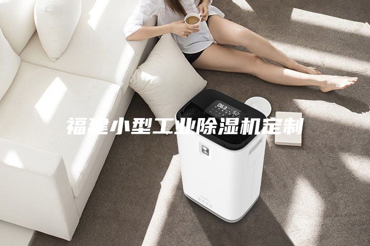 福建小型工業(yè)除濕機(jī)定制