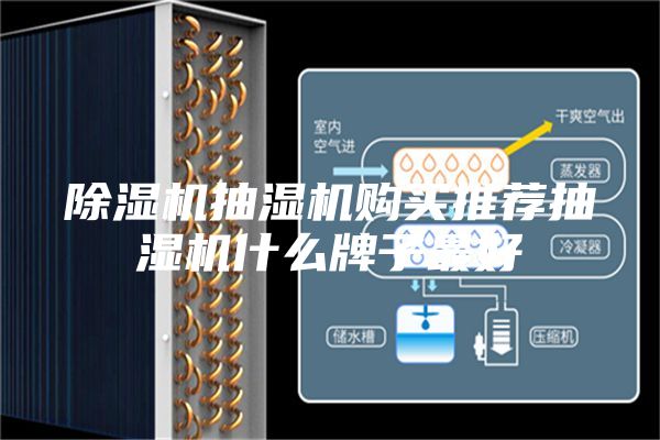 除濕機(jī)抽濕機(jī)購(gòu)買推薦抽濕機(jī)什么牌子最好