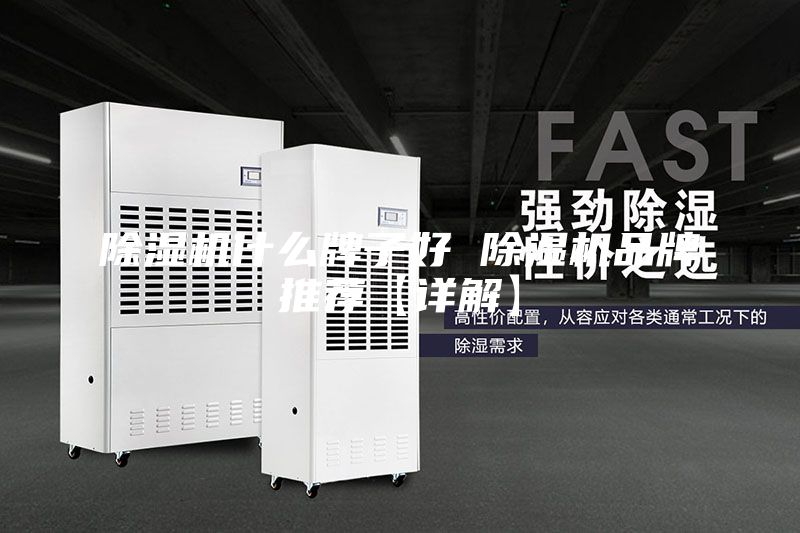 除濕機什么牌子好 除濕機品牌推薦【詳解】