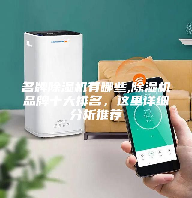 名牌除濕機有哪些,除濕機品牌十大排名，這里詳細分析推薦
