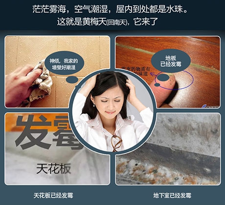 醫藥產品的倉儲環境對溫濕度要求高，工業除濕機提供解決方案