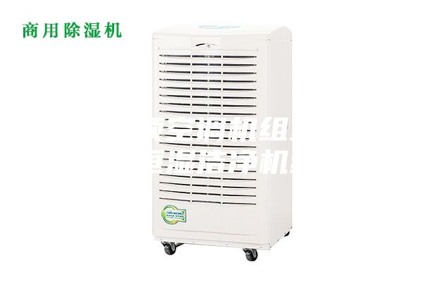 臥式吊頂空調(diào)機組室內(nèi)恒溫恒濕潔凈機組