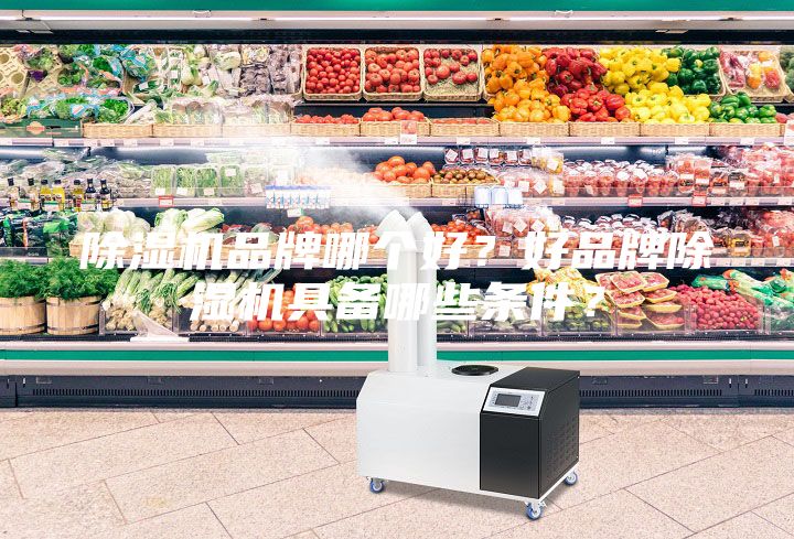 除濕機品牌哪個好？好品牌除濕機具備哪些條件？