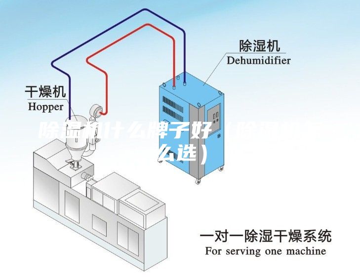 除濕機(jī)什么牌子好（除濕機(jī)怎么選）
