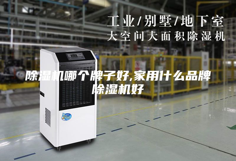 除濕機(jī)哪個(gè)牌子好,家用什么品牌除濕機(jī)好