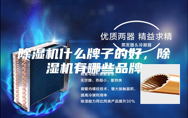 除濕機(jī)什么牌子的好，除濕機(jī)有哪些品牌