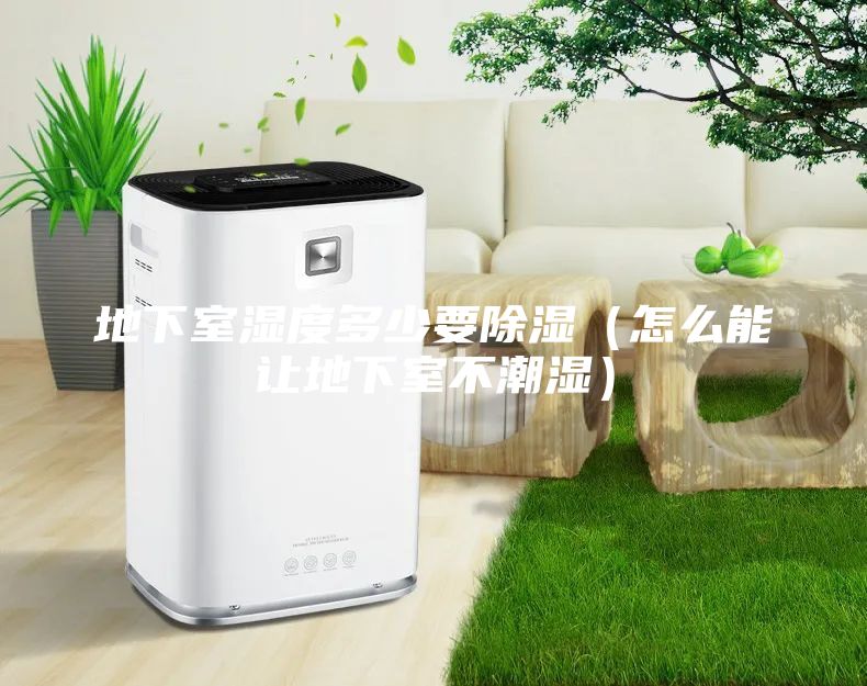 地下室濕度多少要除濕(怎么能讓地下室不潮濕)