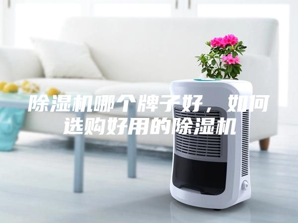 除濕機(jī)哪個(gè)牌子好，如何選購好用的除濕機(jī)