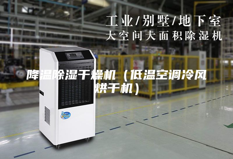 降溫除濕干燥機（低溫空調(diào)冷風(fēng)烘干機）
