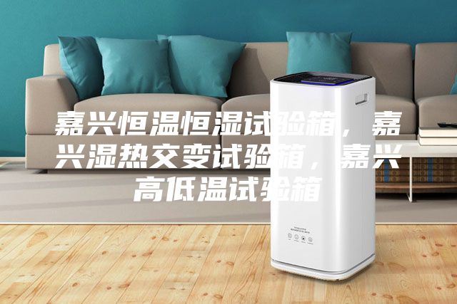 嘉興恒溫恒濕試驗(yàn)箱,嘉興濕熱交變試驗(yàn)箱,嘉興高低溫試驗(yàn)箱