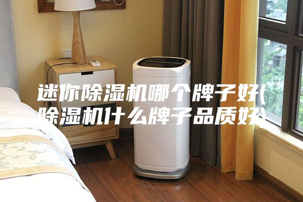 迷你除濕機(jī)哪個牌子好(除濕機(jī)什么牌子品質(zhì)好)