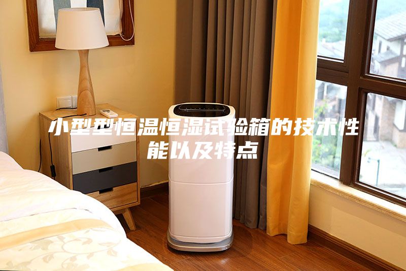 小型型恒溫恒濕試驗箱的技術(shù)性能以及特點